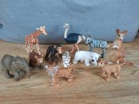 Schleich Tiere Savanne Elefant Tiger Bär Zebra Affe Eisbär Altona - Hamburg Groß Flottbek Vorschau