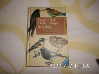 Vögel in Feld, Heide, Gebirge in Farben Nordrhein-Westfalen - Neuss Vorschau