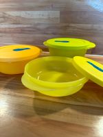 Tupperware MicroTub Set klein Nordrhein-Westfalen - Bad Lippspringe Vorschau