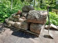 Holz zum selber schlagen (getrocknet) Dithmarschen - Wesselburen Vorschau