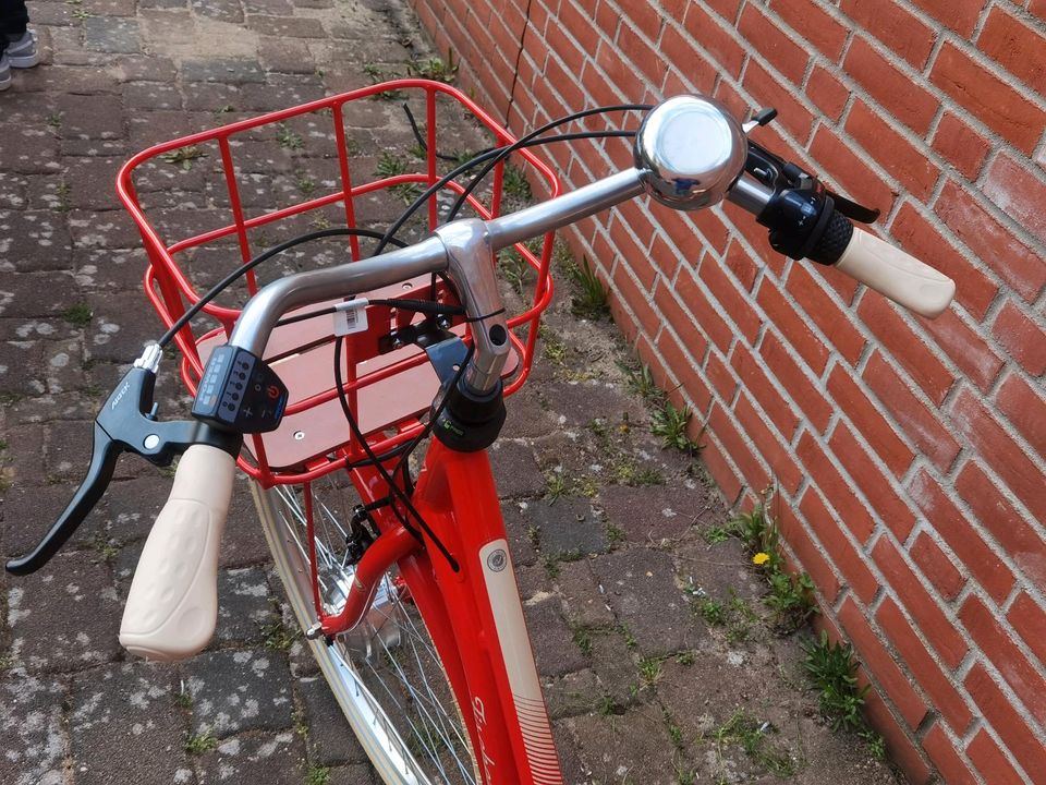 Fischer City E-Bike Cita 2.0 RETRO Neu! mit Rücktritt! in Neubrandenburg