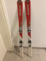 Dynastie Ski 130 cm Rheinland-Pfalz - Osthofen Vorschau