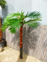 Palmenbaum Kokos Palme Kunstpflanze Künstliche Pflanze 250cm Nordrhein-Westfalen - Borken Vorschau