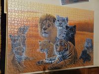Puzzle Raubtiere Löwe Tiger Panther 1000 Teile Puzzel Ravensburge München - Laim Vorschau