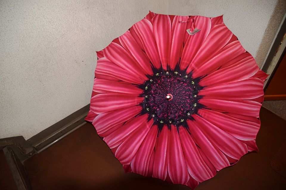 NEUER Regenschirm, Blumen Regenschirm, Rosa Schirm in Berlin - Tempelhof |  eBay Kleinanzeigen ist jetzt Kleinanzeigen