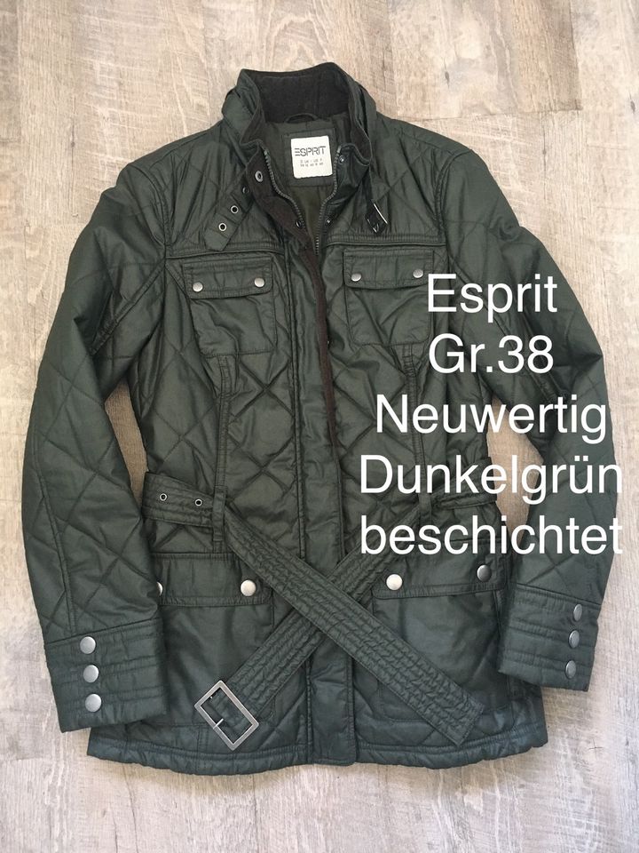 NEU Esprit Damen Jacke Gr. 38 dunkelgrün Steppjacke beschichtet in Bohmte