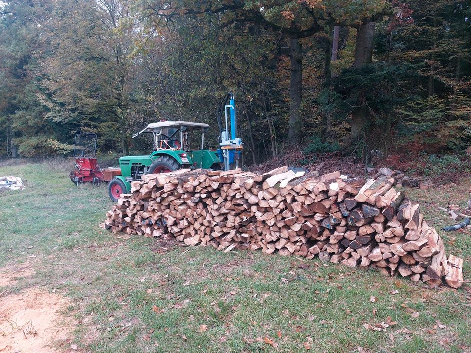 Brennholz Kaminholz Buche  Schüttmeter  110€ in Althengstett