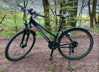 Bergamont helix 3.4 Damen Fahrrad 28 Zoll; 46 cm Bayern - Pfreimd Vorschau