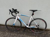 Rennrad von Bergamont Beuel - Limperich Vorschau