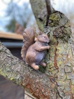 Garten Terrasse Dekor Figur Eichhörnchen Neu Brandenburg - Schwedt (Oder) Vorschau