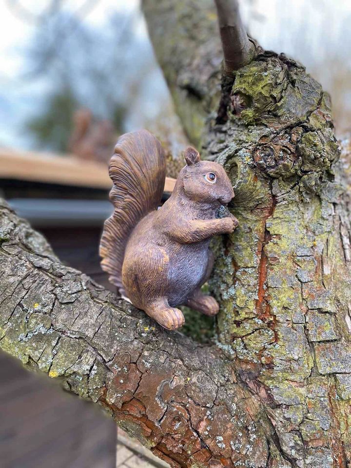 Garten Terrasse Dekor Figur Eichhörnchen Neu in Schwedt (Oder)