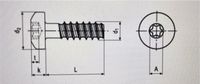 Kunststoff schraube KST / PT 3x10 Gewinde Torx 10 Wiesbaden - Nordenstadt Vorschau