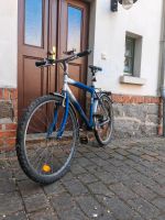 Mountainbike cityrad Herrenrad Leipzig - Plagwitz Vorschau