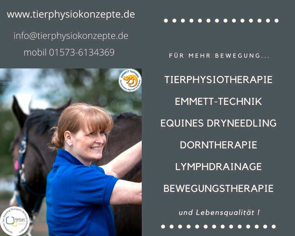 Physiotherapie für Pferde | Pferdetherapie | Pferdekurse in Pulheim