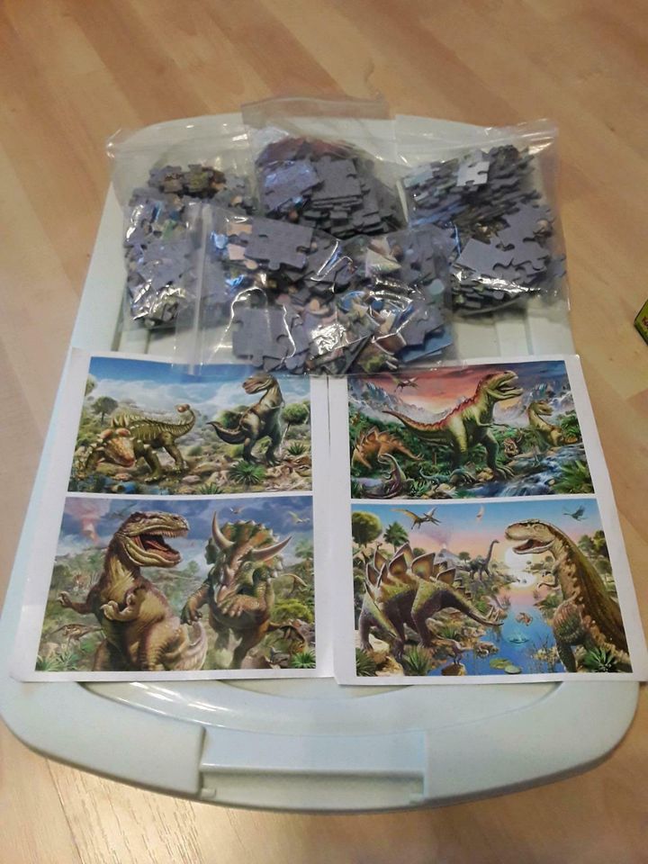 Dinosaurier 4er-Puzzle Koffer Schmidt selten in Braunschweig