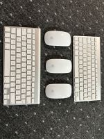 Apple Maus + Tastatur Nordrhein-Westfalen - Herford Vorschau