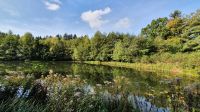 Nurdachhaus am Kronensee Wellingholzhausen gesucht! Niedersachsen - Melle Vorschau