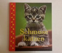 Schmusekatzen von Monika Auberger (Weltbild) Nordrhein-Westfalen - Königswinter Vorschau