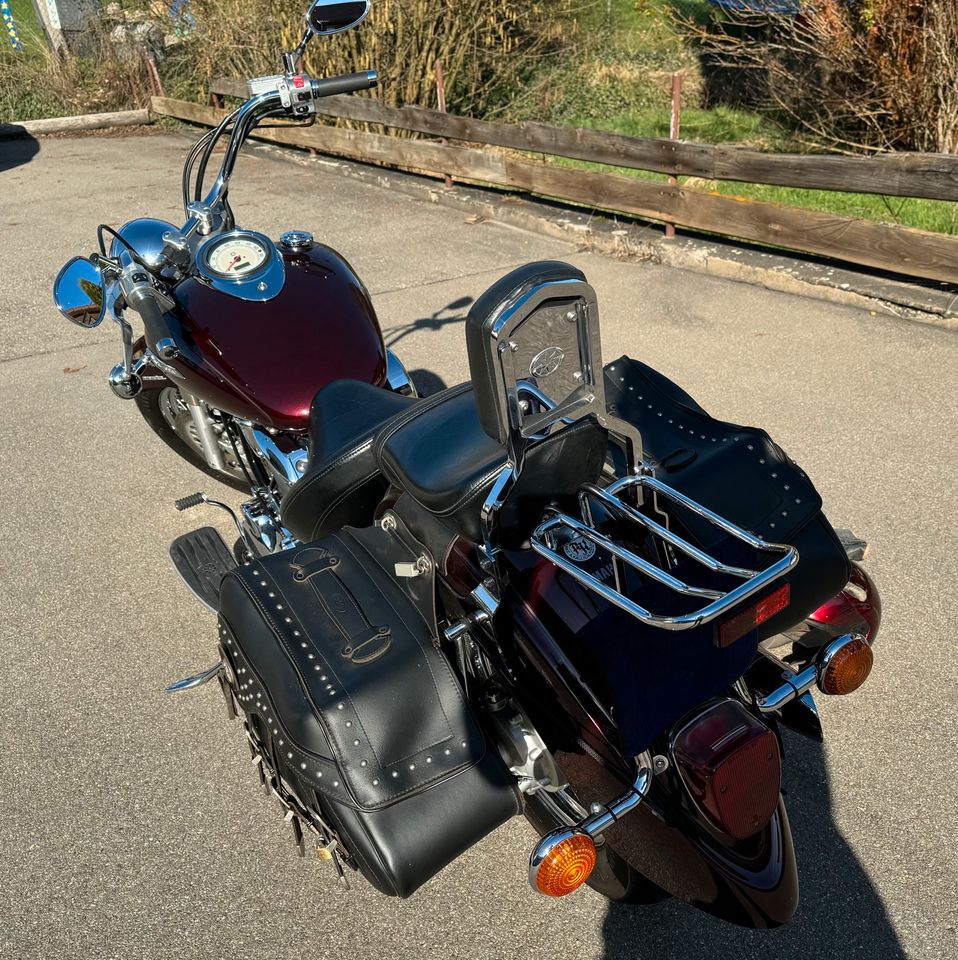 Yamaha XVS 1100 Dragstar VP16 Silvertail Pipes in Reutlingen