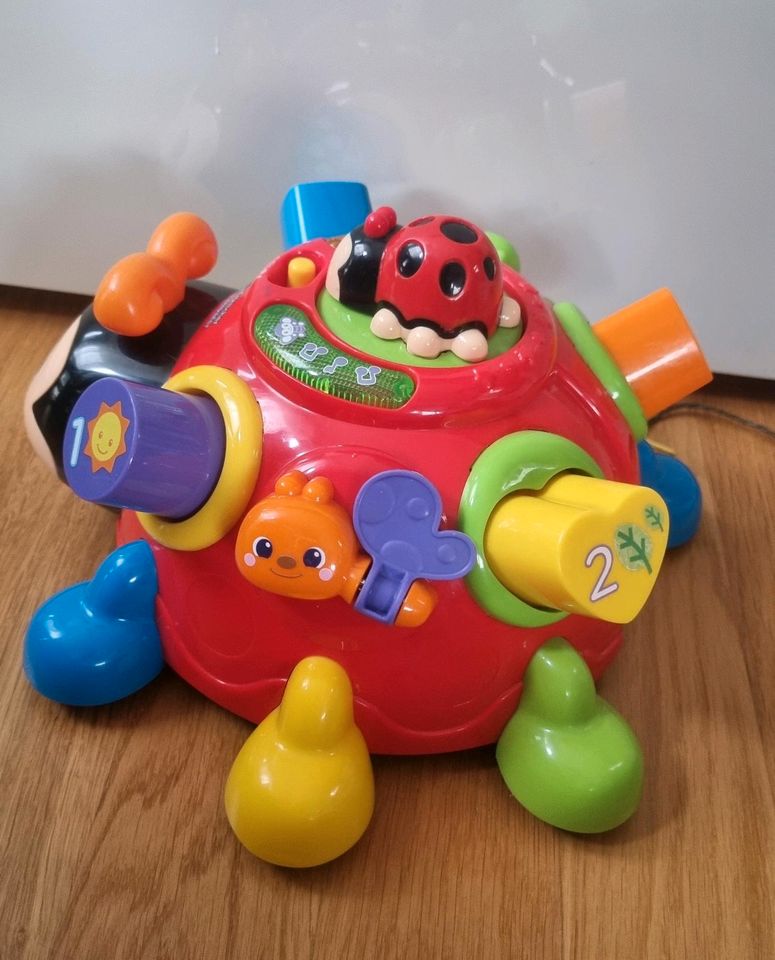 Fröhlicher Lernkäfer Vtech Spielzeug mit Musik in Dresden