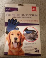 Hunde Fellpflege Handschuh Thüringen - Bad Salzungen Vorschau