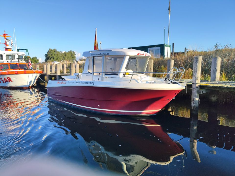 Red Pearl 115PS mit Führerschein Mietboot 1 Woche Angelboot in Lütjenburg