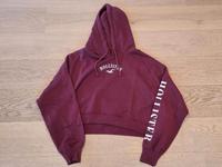 Damen Sweatshirt mit Kapuze dunkelrot Größe L von Hollister Baden-Württemberg - Warthausen Vorschau