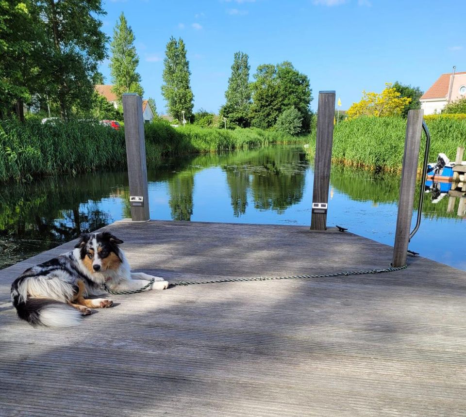 Ferienhaus Makkum IJsselmeer Holland eigener Steg angeln Hund in Gelsenkirchen