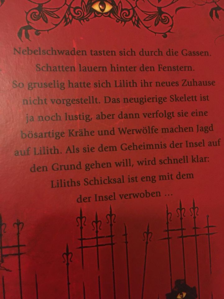 Lilith Parker Band 1 Insel der Schatten Kinderbuch ab 10 in Barsbüttel
