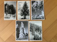 AK Postkarten Winterpracht Tannen im Schnee Wald Winter Metz Nordrhein-Westfalen - Detmold Vorschau