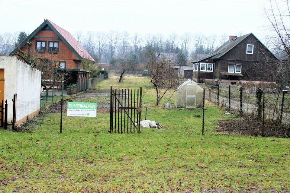 Baugrundstück in der Kleinstadt Friedland in Friedland