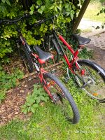 2 Fahrräder Brandenburg - Blankenfelde-Mahlow Vorschau