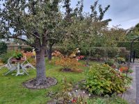 Garten am Luxchenweg in Guben Brandenburg - Peitz Vorschau