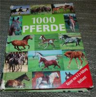 Sachbuch Pferde gebraucht aber in einem guten Zustand Nordrhein-Westfalen - Castrop-Rauxel Vorschau