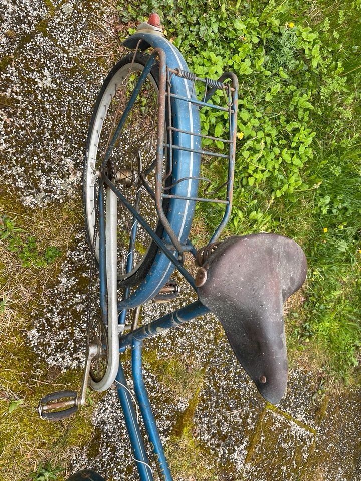 Bauer Werke Fahrrad Damenrad alt antik Oldtimer Rarität 1950er in Lauingen a.d. Donau