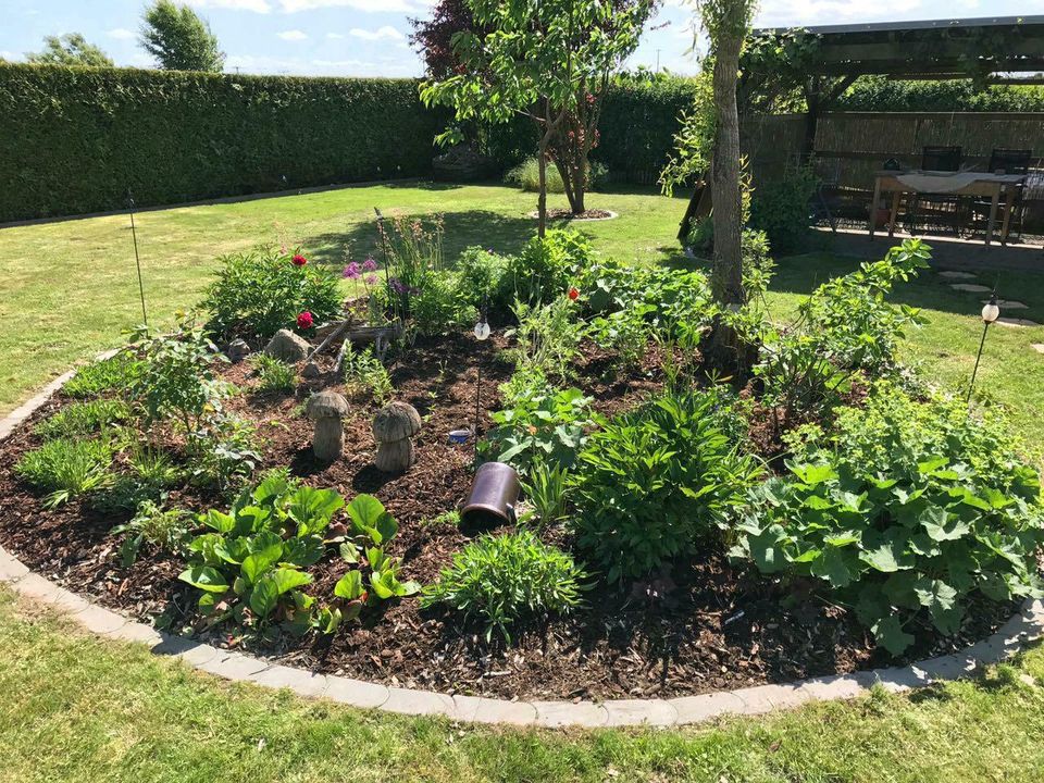 Biete Dienstleistungen rund um Haus und Garten an in Schwerin