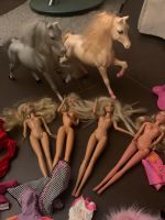 Barbie Konvolut Pferde, Puppen, Kleider etc Baden-Württemberg - Emmendingen Vorschau
