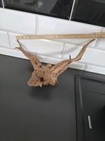 Aquarium Wurzel Niedersachsen - Weyhe Vorschau