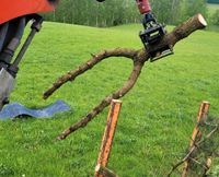 Astgabel Briefkasten Wegweiser Kratzbaum  Kiefer Sachsen - Hohnstein Vorschau