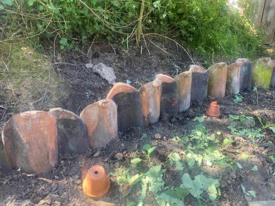 Beetumrandung aus antiken Tonhohlziegeln Terracotta in Lemgo