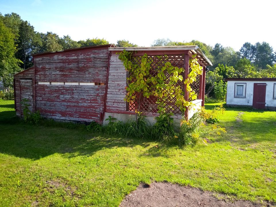 Kleingarten, Erholungsgrundstück, nur 15km zum Strand nach Zingst in Barth