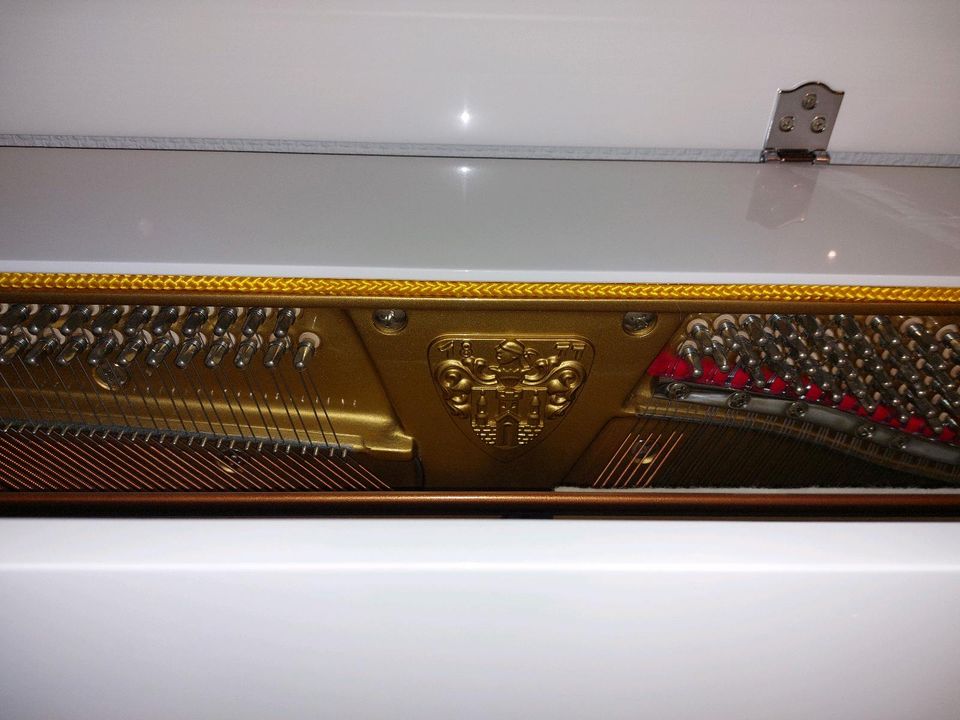 P118 Wilhelm Steinberg Klavier weiß hochglanzlackiert in Lage