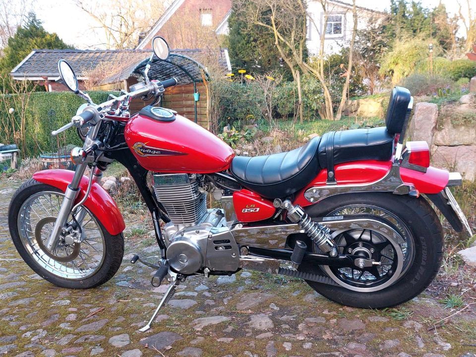 Suzuki Savage  LS 650 in Drestedt