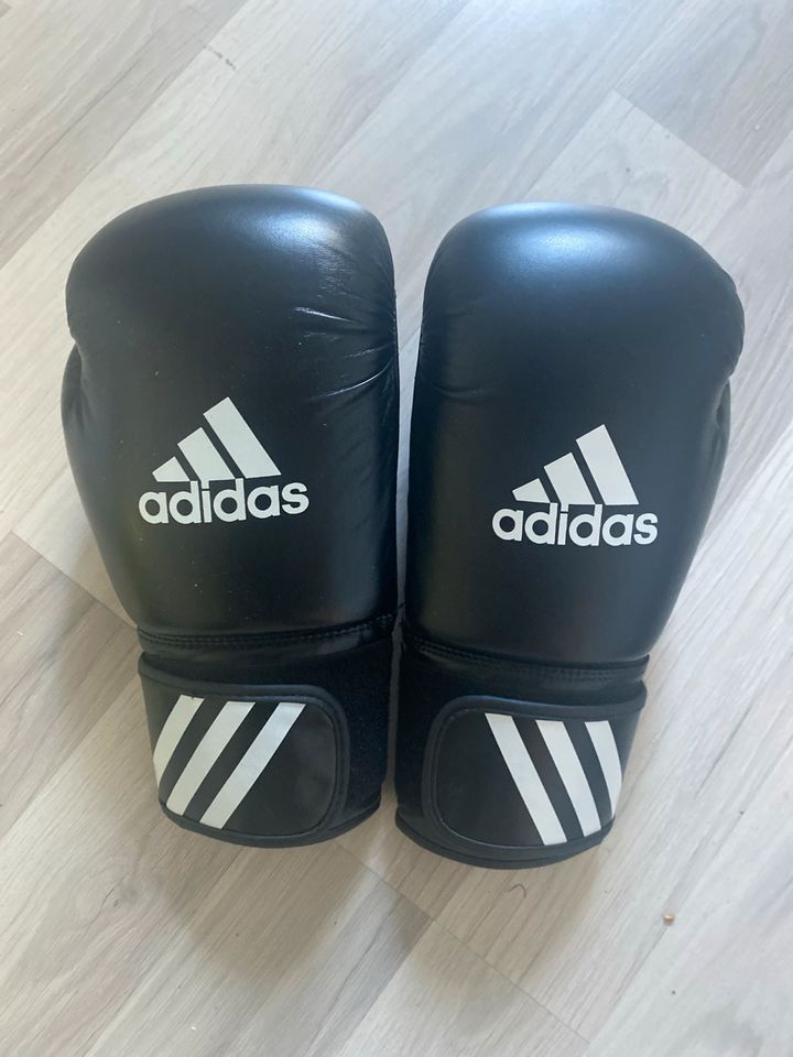 Adidas Boxhandschuhe 10 oz in Halle