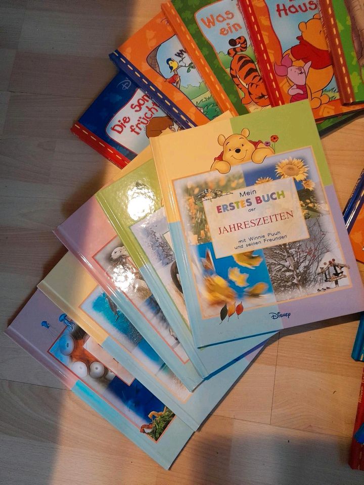 Disney Bücher und puzzelkoffer in Beetzseeheide