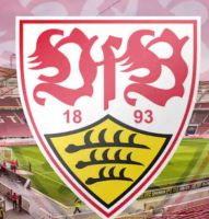 VfB Stuttgart Dauerkarte Saison 2024/2025 Baden-Württemberg - Sigmaringendorf Vorschau