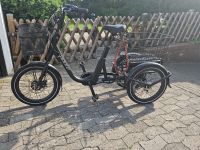 Treik Adore Cargo E-bike Bremen - Woltmershausen Vorschau