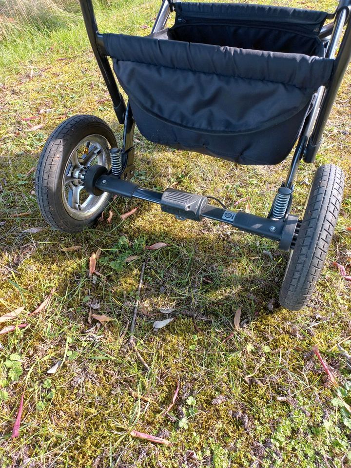 CLEO Kombi-Kinderwagen 2 in 1 in Neustadt an der Orla