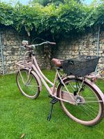 Popal 26" Mädchenfahrrad Daily Dutch rosa Nordrhein-Westfalen - Marl Vorschau