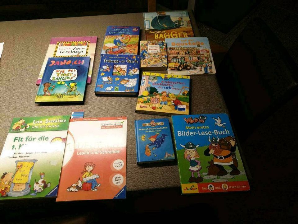 Kinderbuch Buch Kinder Vorlesen erstes Lesen Geschichten in Ehingen (Donau)